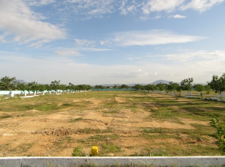 3) Venture Plots for Sale in Tirupati.JPG